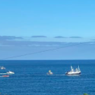 Image of boats from window